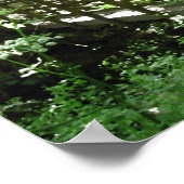 Fußbrücke in Woodland. Poster (Ecke)
