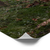 Fußgängerbrücke im Herbst Poster (Ecke)