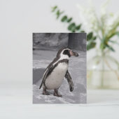 Fußgängerpinguin Postcard Postkarte (Stehend Vorderseite)