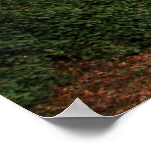 Fußgängerüberquerung Poster (Ecke)