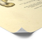 Fußknöchelanatomie Knochen Verbindungen drucken Poster (Ecke)