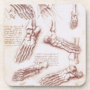 Fußknochen des Menschen von Leonardo da Vinci Getränkeuntersetzer