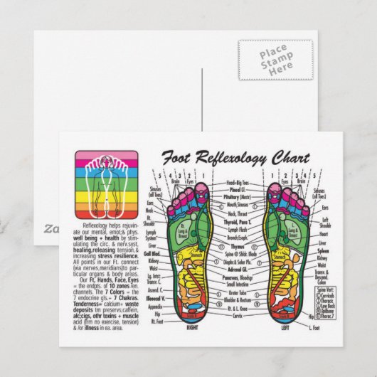 Fußmassage-Reflexologie Postkarte (Vorne/Hinten)