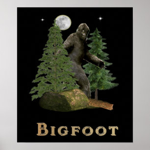Fußpflaster Poster