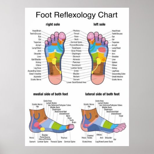 Fußreflexologie 22x29" poster (Vorne)