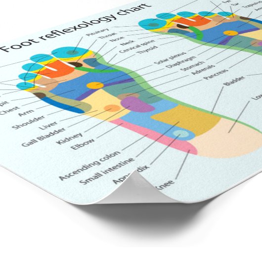 Fußreflexologie-7x5" Poster (Ecke)