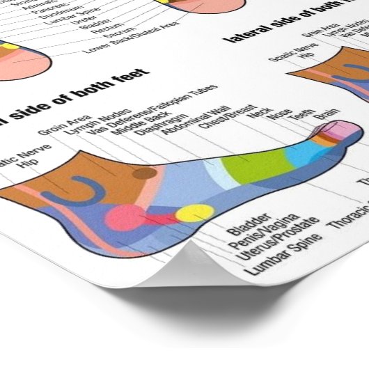 Fußreflexologie 7x9" poster (Ecke)