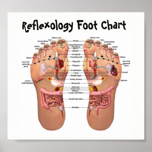 Fußreflexologie 8x7" poster (Vorne)