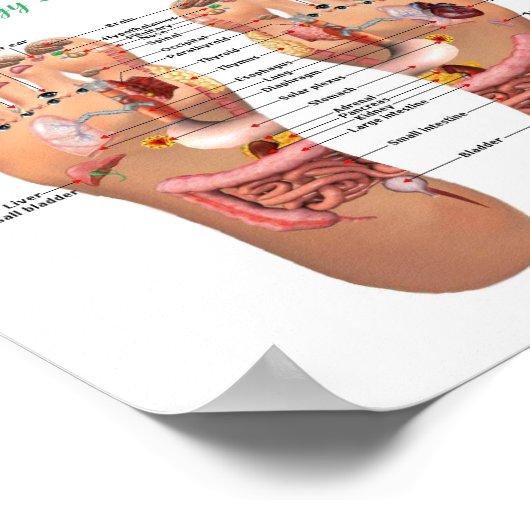 Fußreflexologie 8x7" poster (Ecke)