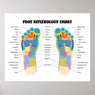 Fußreflexologie Diagramm 20" x 16" (Matte) Poster