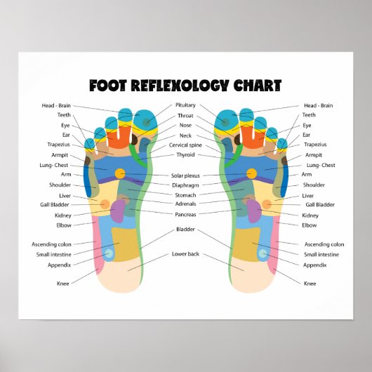Fußreflexologie Diagramm 20" x 16" (Matte) Poster (Vorne)
