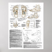 Fußreflexologie und Akupunkturposter Poster (Vorne)