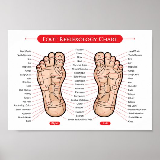 Fußreflexzonenmassage: 11x8" poster (Vorne)
