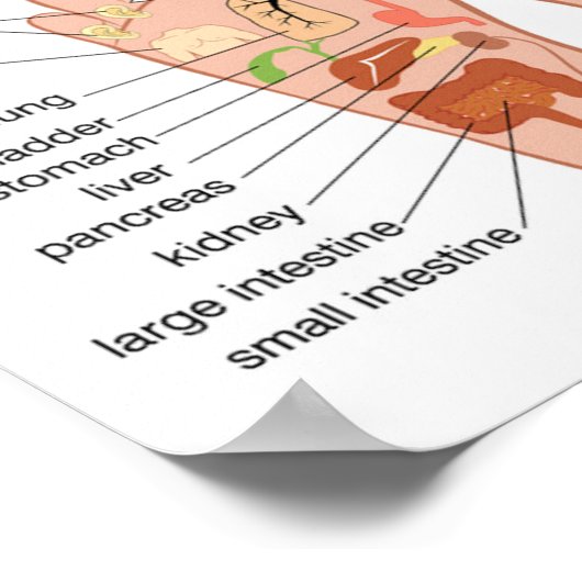 Fußreflexzonenmassage 12x10" poster (Ecke)