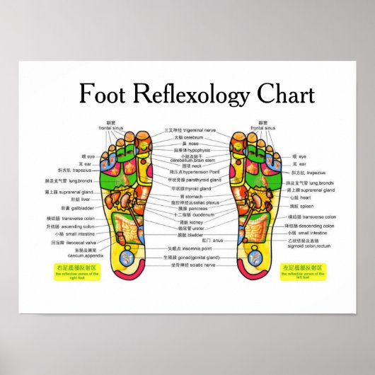 Fußreflexzonenmassage -16x12" poster (Vorne)