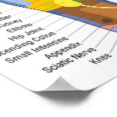 Fußreflexzonenmassage 18x12" poster (Ecke)