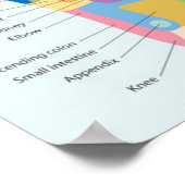 Fußreflexzonenmassage 18x13" poster (Ecke)