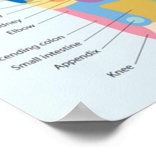 Fußreflexzonenmassage 18x13" poster (Ecke)