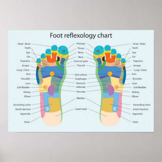 Fußreflexzonenmassage 18x13" poster (Vorne)