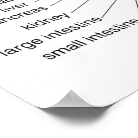 Fußreflexzonenmassage 20x16" poster (Ecke)