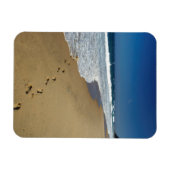 Fußspuren am Strand, in Mabibi, in Thongaland Magnet (Horizontal)