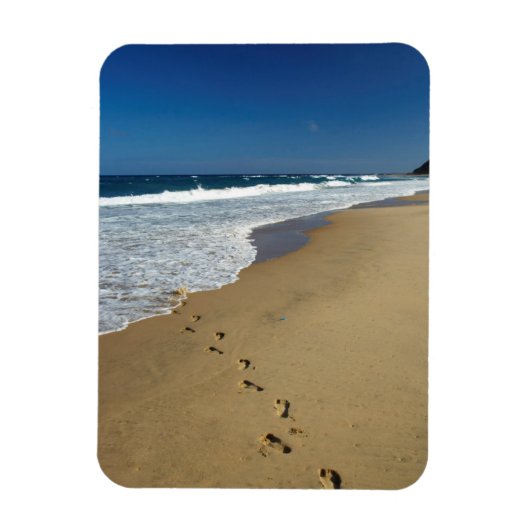 Fußspuren am Strand, in Mabibi, in Thongaland Magnet (Vertikal)