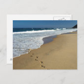 Fußspuren am Strand, in Mabibi, in Thongaland Postkarte (Vorne/Hinten)