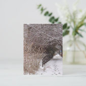 Fußspuren im Schnee. Postkarte (Stehend Vorderseite)
