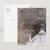 Fußspuren im Schnee. Postkarte (Vorne/Hinten)