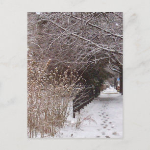 Fußspuren im Schnee. Postkarte