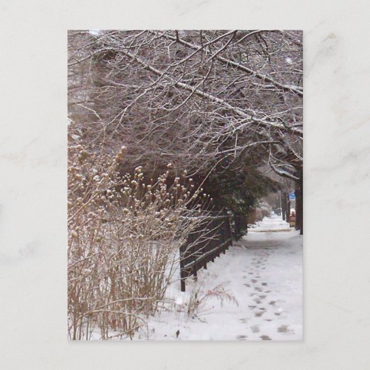 Fußspuren im Schnee. Postkarte (Vorderseite)