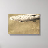 Fußstapfen Leinwanddruck (Vorderseite)