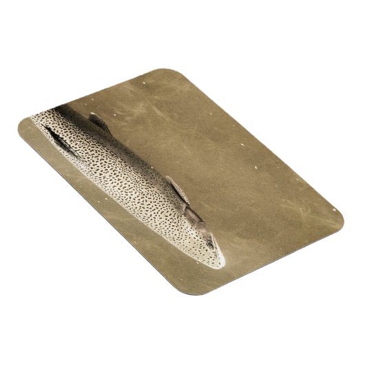 Fußstapfen Magnet (Rechte Seite)