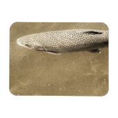 Fußstapfen Magnet (Horizontal)