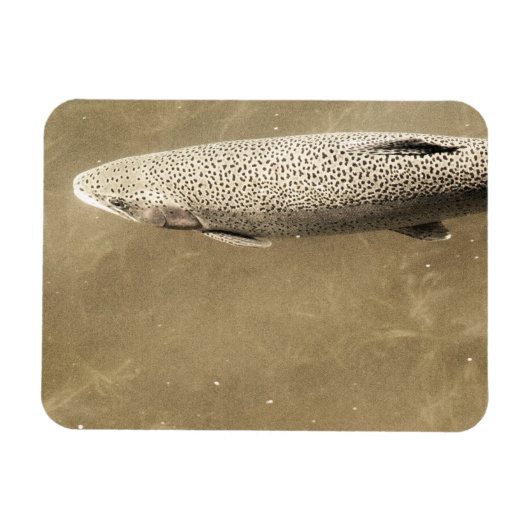 Fußstapfen Magnet (Horizontal)