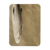 Fußstapfen Magnet (Vertikal)