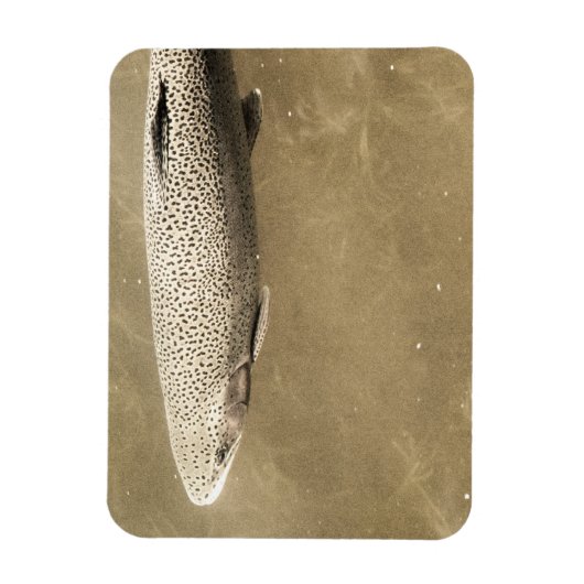 Fußstapfen Magnet (Vertikal)