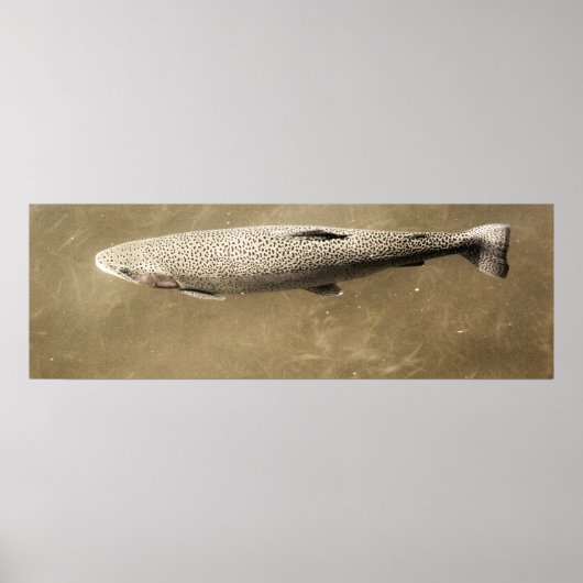 Fußstapfen Poster (Vorne)