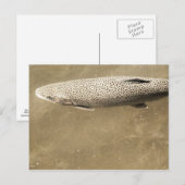 Fußstapfen Postkarte (Vorne/Hinten)