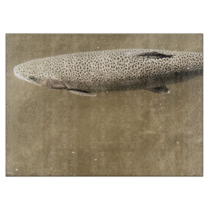 Fußstapfen Schneidebrett