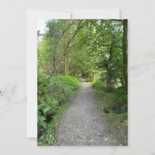 Fußweg durch den Wald auf der Isle of Bute Schottl Feiertagskarte