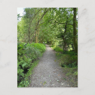 Fußweg durch Wälder auf der Insel Bute Scotland Feiertagspostkarte