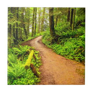 Fußweg in Forest Park Fliese
