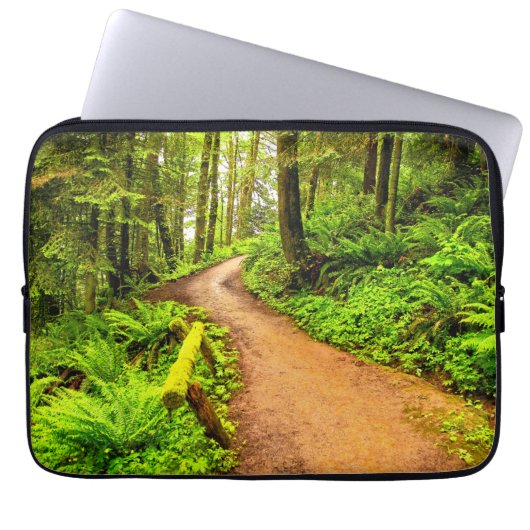 Fußweg in Forest Park Laptopschutzhülle (Vorderseite)