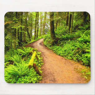Fußweg in Forest Park Mousepad