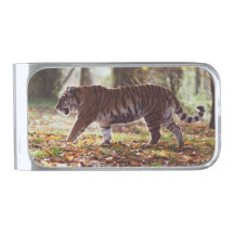 Fußweg Tiger Money Clip