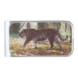 Fußweg Tiger Money Clip