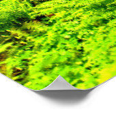 Fußweg zum Waldpark Poster (Ecke)