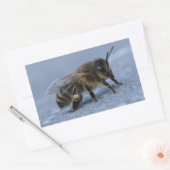 Futterbiene Rechteckiger Aufkleber (Umschlag)