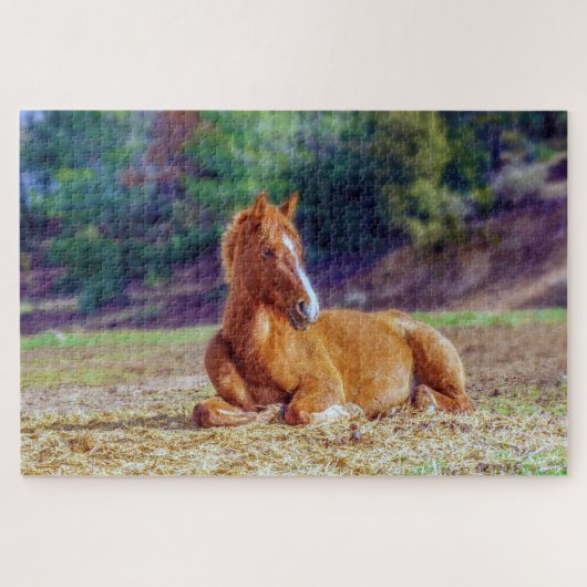 Futterfohlen Puzzle (Horizontal)